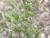Img.VTax1163.Ex1.Img5