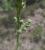 Img.VTax1182.Ex1.Img1