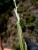 Img.VTax1182.Ex1.Img2