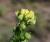 Img.VTax1182.Ex1.Img3