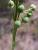 Img.VTax1182.Ex1.Img4