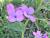 Img.VTax1187.Ex1.Img1