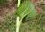 Img.VTax1187.Ex1.Img3