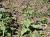 Img.VTax1187.Ex1.Img4