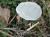 Img.VTax1187.Ex1.Img5