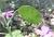 Img.VTax1187.Ex1.Img6