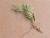Img.VTax1191.Ex3.Img2