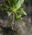 Img.VTax1212.Ex3.Img3