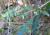 Img.VTax1222.Ex2.Img1