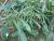 Img.VTax1222.Ex2.Img3