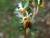 Img.VTax1222.Ex2.Img4