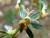 Img.VTax1222.Ex2.Img5