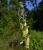 Img.VTax1222.Ex3.Img1
