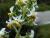 Img.VTax1223.Ex1.Img3