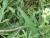 Img.VTax1223.Ex1.Img4