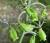 Img.VTax1223.Ex1.Img6