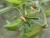 Img.VTax1223.Ex1.Img7