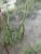 Img.VTax1225.Ex1.Img1