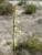 Img.VTax1225.Ex1.Img2
