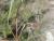 Img.VTax1225.Ex1.Img3