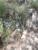 Img.VTax1225.Ex1.Img4