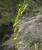 Img.VTax1225.Ex1.Img5