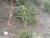 Img.VTax1225.Ex1.Img6