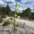 Img.VTax1225.Ex1.Img7