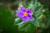 Img.VTax1226.Ex3.Img1