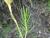 Img.VTax1228.Ex1.Img2