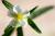 Img.VTax1229.Ex1.Img1