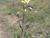 Img.VTax1240.Ex2.Img3