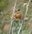 Img.VTax1240.Ex2.Img6