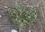Img.VTax1241.Ex1.Img1