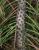 Img.VTax125.Ex1.Img4