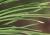 Img.VTax125.Ex1.Img5