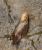Img.VTax125.Ex1.Img6