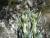 Img.VTax1252.Ex2.Img1