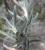 Img.VTax1252.Ex2.Img2