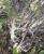Img.VTax1252.Ex2.Img3
