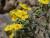 Img.VTax1252.Ex3.Img1