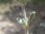 Img.VTax1253.Ex1.Img3