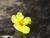 Img.VTax1253.Ex1.Img5