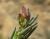 Img.VTax1258.Ex1.Img1
