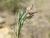 Img.VTax1258.Ex1.Img2