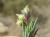 Img.VTax1258.Ex1.Img3