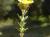 Img.VTax1260.Ex1.Img1