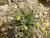 Img.VTax1260.Ex1.Img2