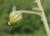 Img.VTax1260.Ex1.Img4