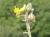 Img.VTax1260.Ex1.Img5
